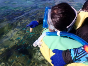 自然体験ジョン万パーク 天然水族感 自然体験シュノーケリング 家族 6歳