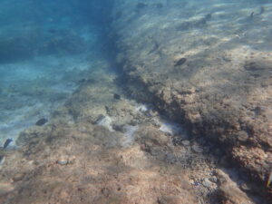 自然体験ジョン万パーク 天然水族感 自然体験シュノーケリング 20代 カップル 初めての沖縄旅行