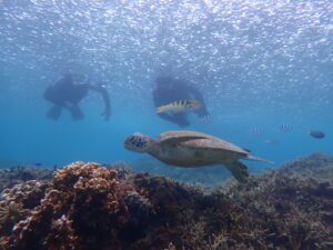 自然体験ジョン万パーク 天然水族感 自然体験シュノーケリング 雨でも楽しめる