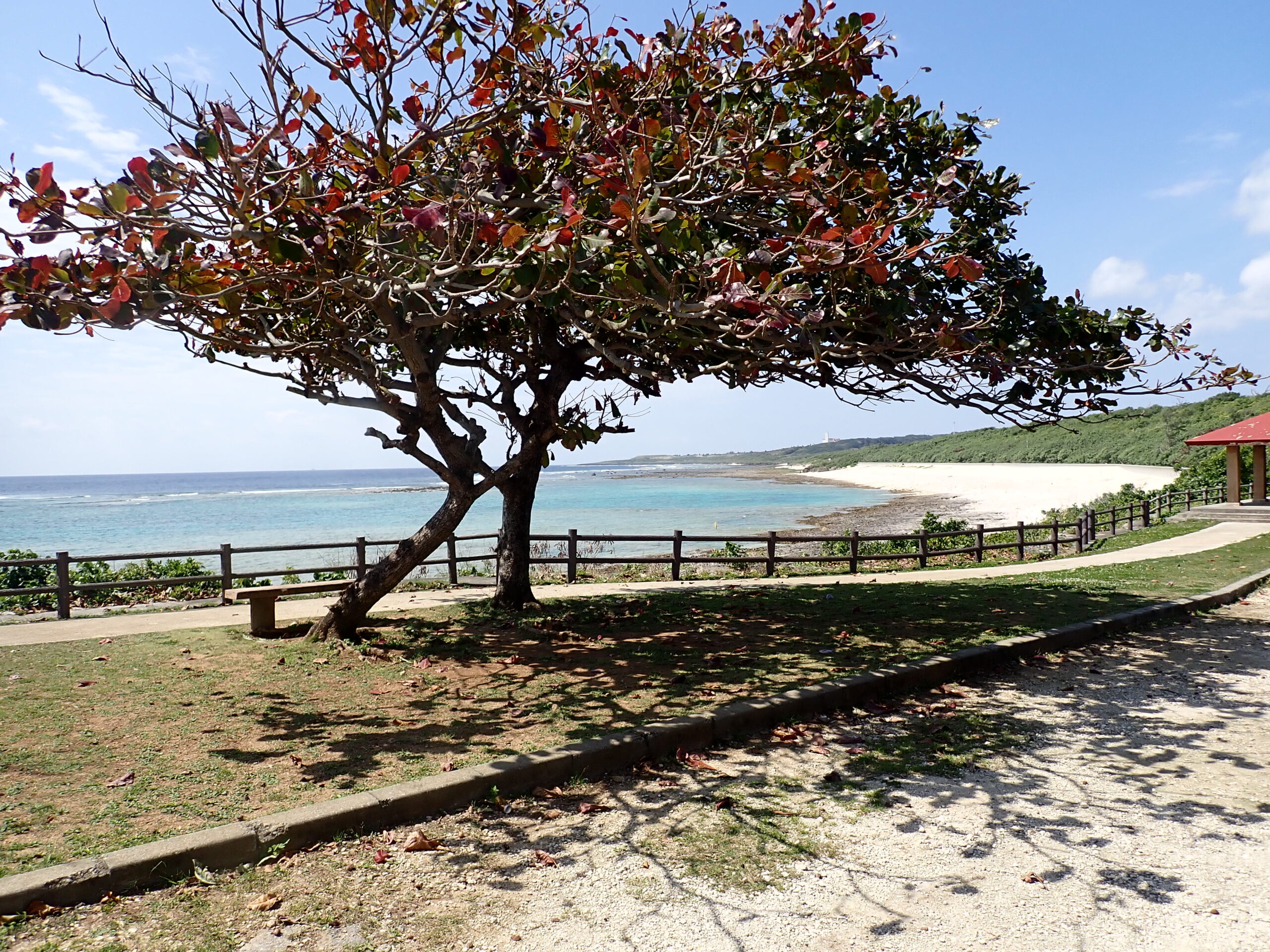 自然体験ジョン万パーク 天然水族感 自然体験シュノーケリング