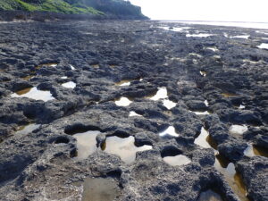 自然体験ジョン万パーク 天然水族感 自然体験シュノーケリング 親子沖縄旅行
