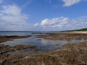 自然体験ジョン万パーク 天然水族感 自然体験シュノーケリング 親子沖縄旅行
