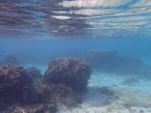 自然体験ジョン万パーク 天然水族感 自然体験シュノーケリング 30代男性旅行 友達