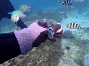 自然体験ジョン万パーク 天然水族感 自然体験シュノーケリング 5歳・6歳男の子