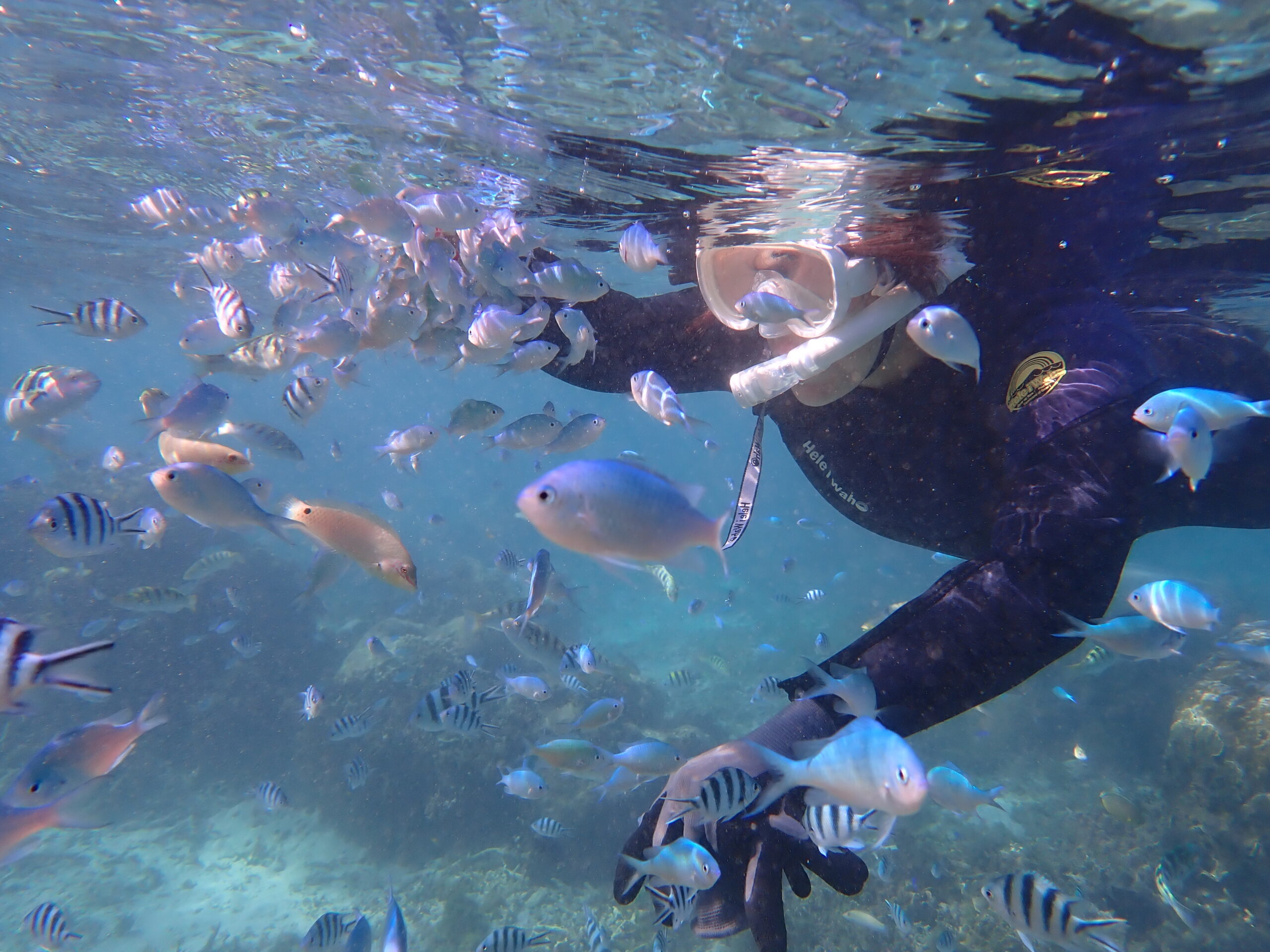 自然体験ジョン万パーク 天然水族感 自然体験シュノーケリング 3人家族 家族旅行