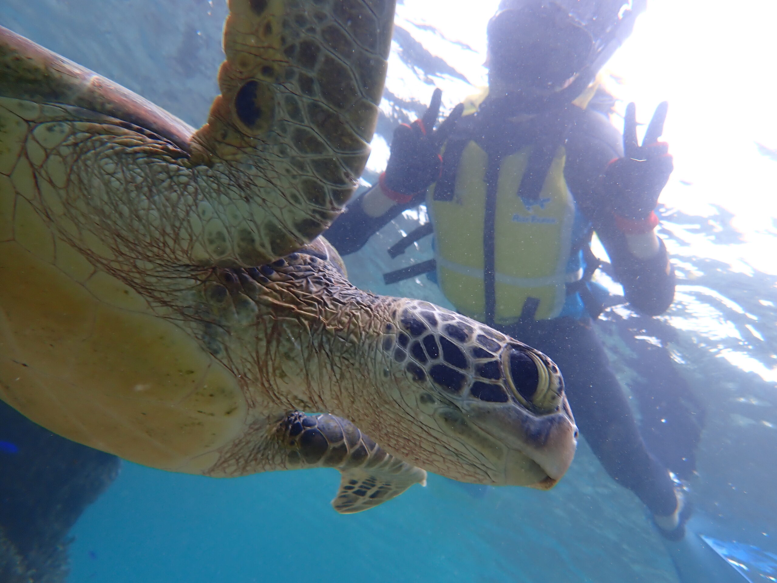 自然体験ジョン万パーク 天然水族感 自然体験シュノーケリング 記念日 親子旅行