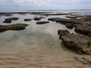 自然体験ジョン万パーク 天然水族感 自然体験シュノーケリング 家族旅行 初めての沖縄旅行