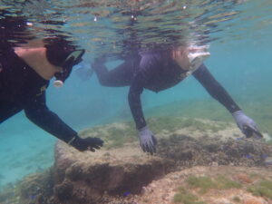 自然体験ジョン万パーク 天然水族感 自然体験シュノーケリング 家族旅行 初めての沖縄旅行