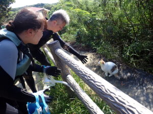自然体験ジョン万パーク 天然水族感 自然体験シュノーケリング 初心者