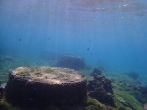 自然体験ジョン万パーク 天然水族感 自然体験シュノーケリング 初心者