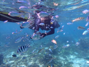 自然体験ジョン万パーク 天然水族感 自然体験シュノーケリング 初心者