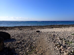 自然体験ジョン万パーク 天然水族感 自然体験シュノーケリング 沖縄旅行 初心者
