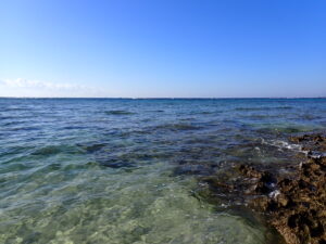 自然体験ジョン万パーク 天然水族感 自然体験シュノーケリング 沖縄旅行 初心者