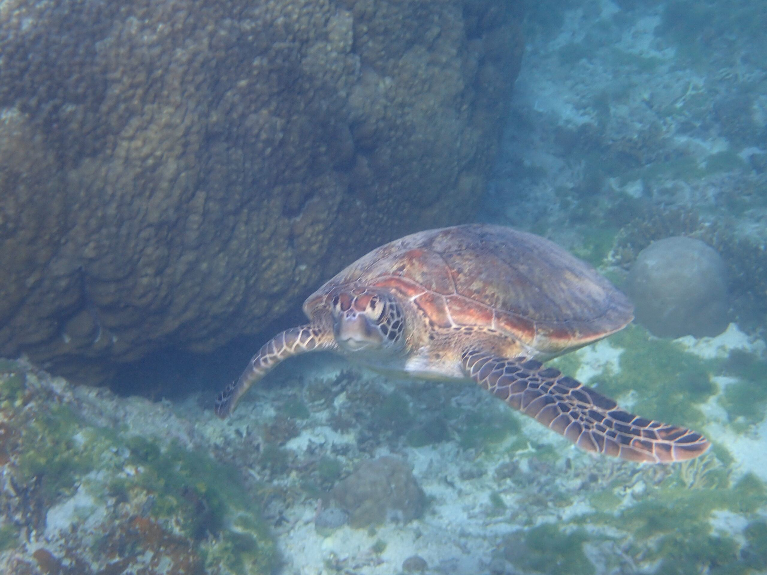 自然体験ジョン万パーク 天然水族感 自然体験シュノーケリング 沖縄旅行 初心者