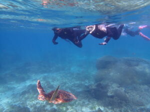 自然体験ジョン万パーク 天然水族感 自然体験シュノーケリング 沖縄旅行 初心者