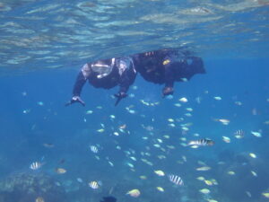 自然体験ジョン万パーク 天然水族感 自然体験シュノーケリング 沖縄旅行 初心者
