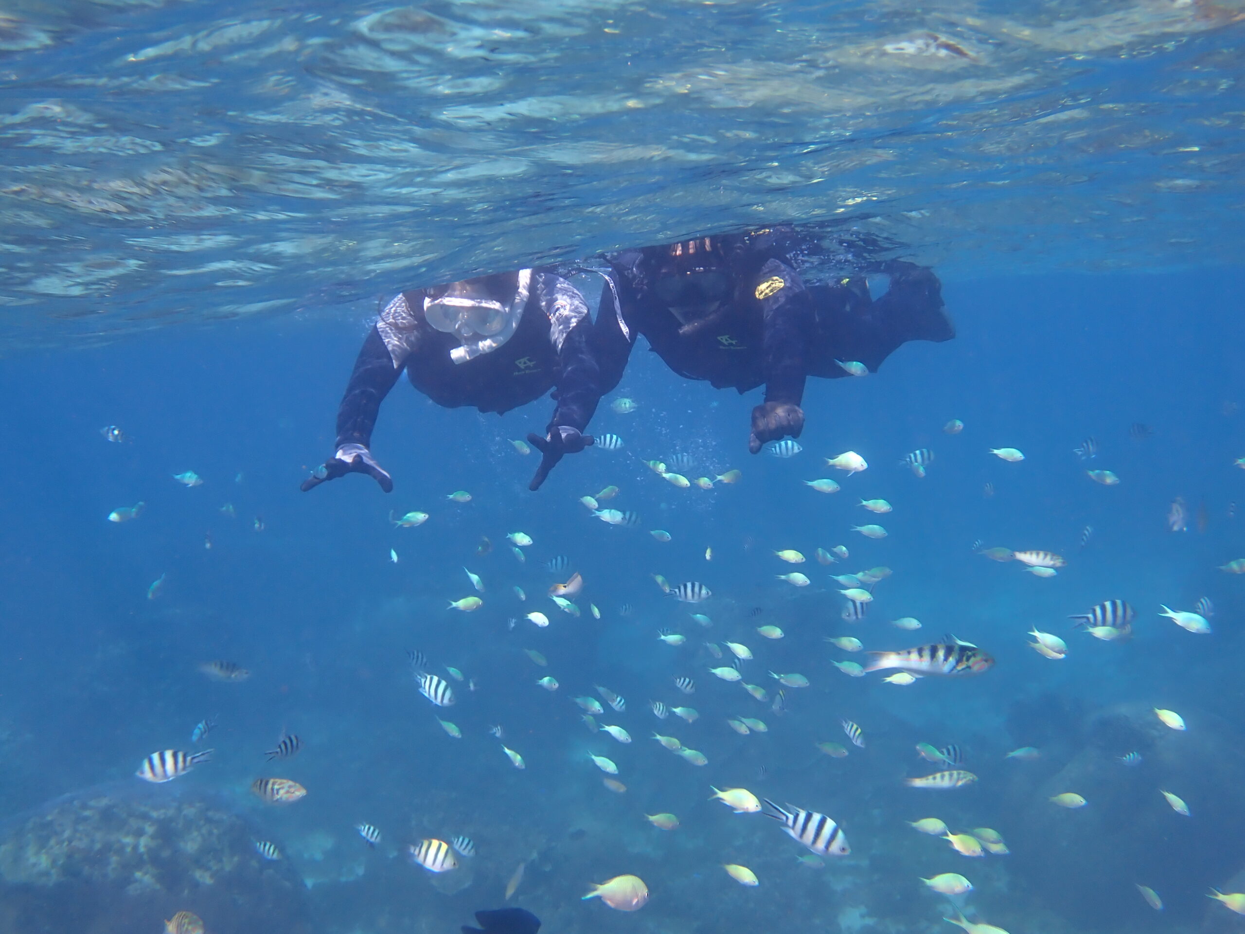 自然体験ジョン万パーク 天然水族感 自然体験シュノーケリング 沖縄旅行 初心者