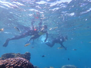 自然体験ジョン万パーク 天然水族感 自然体験シュノーケリング 家族旅行