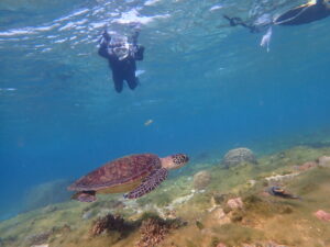 自然体験ジョン万パーク 天然水族感 自然体験シュノーケリング 友達 60代