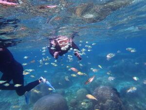 自然体験ジョン万パーク 天然水族感 自然体験シュノーケリング 友達 60代