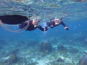 自然体験ジョン万パーク 天然水族感 自然体験シュノーケリング 友達 60代
