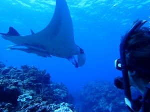 自然体験ジョン万パーク 天然水族感 自然体験シュノーケリング サービス向上