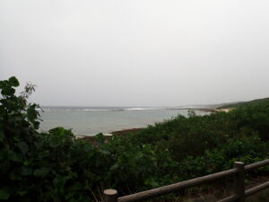 自然体験ジョン万パーク 天然水族感 自然体験シュノーケリング 60代 1人