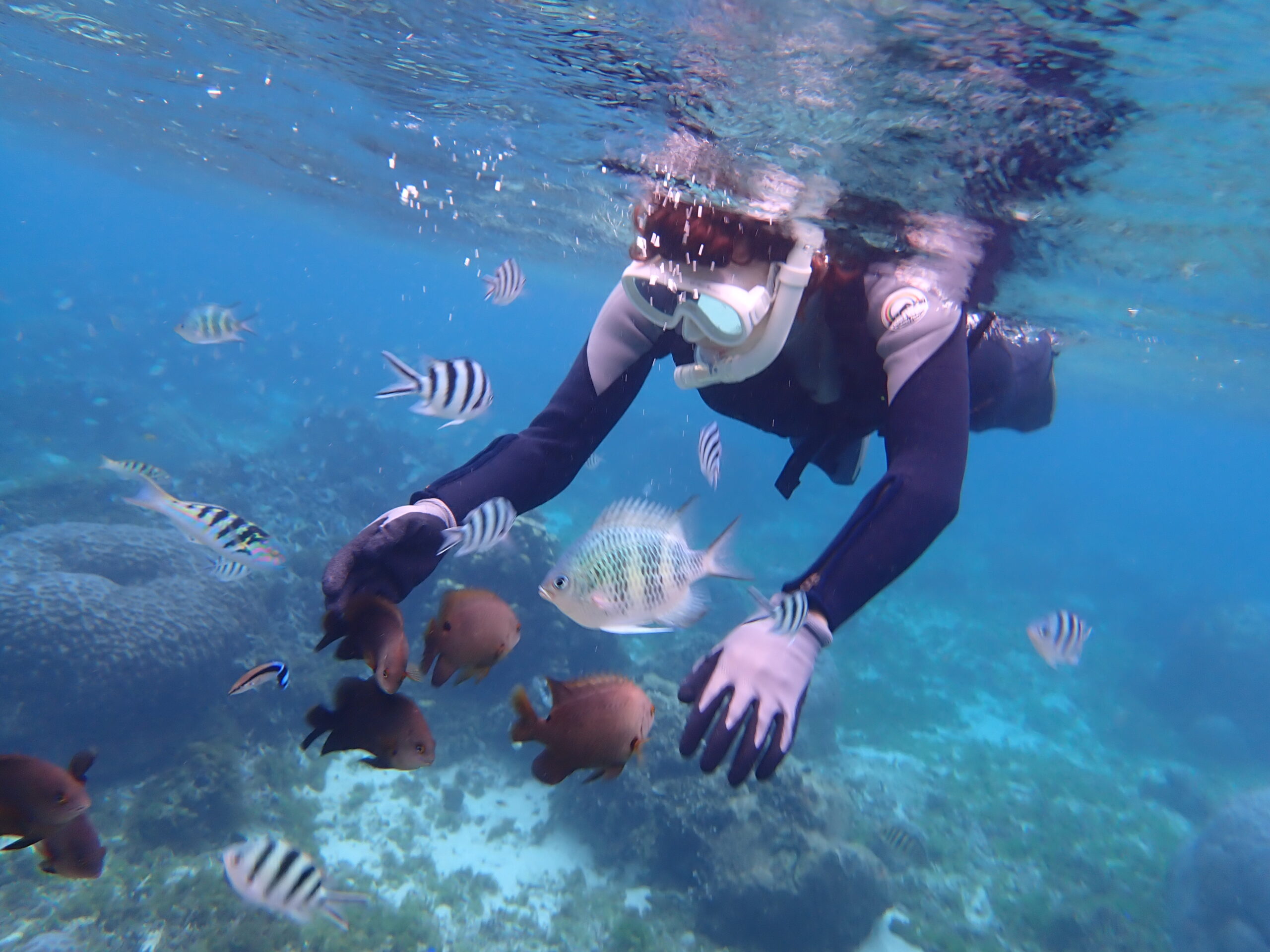 自然体験ジョン万パーク 天然水族感 自然体験シュノーケリング 60代 1人