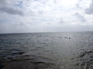 自然体験ジョン万パーク 天然水族感 自然体験シュノーケリング 4歳・4歳・6歳 初めての海