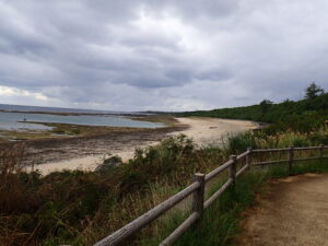 自然体験ジョン万パーク 天然水族感 自然体験シュノーケリング 送迎 カップル