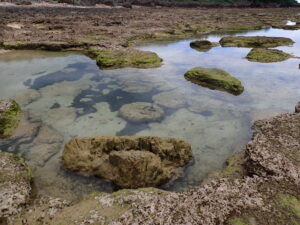 自然体験ジョン万パーク 天然水族感 自然体験シュノーケリング 送迎 カップル