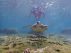 自然体験ジョン万パーク 天然水族感 自然体験シュノーケリング 送迎 カップル