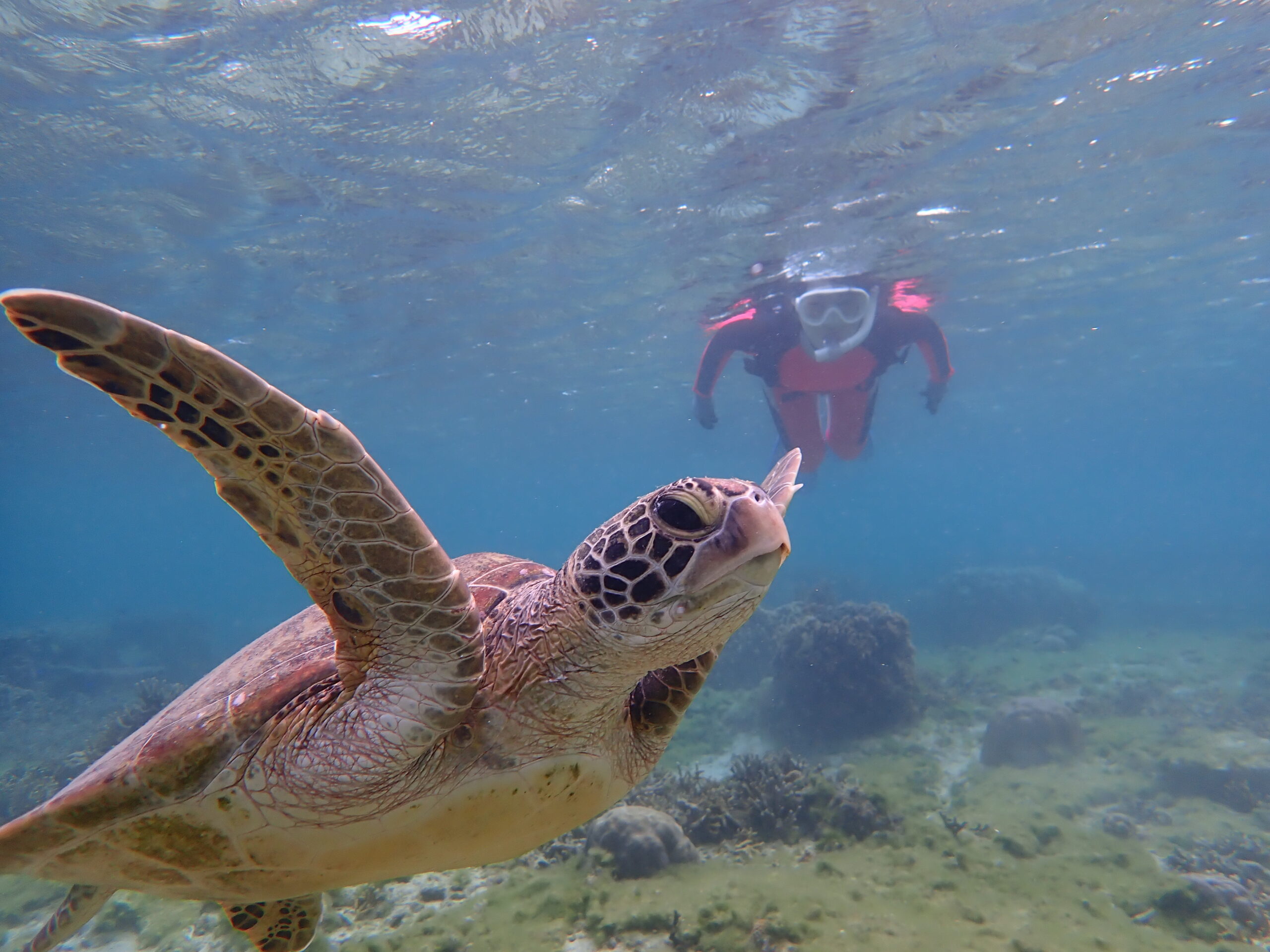 自然体験ジョン万パーク 天然水族感 自然体験シュノーケリング 送迎 カップル