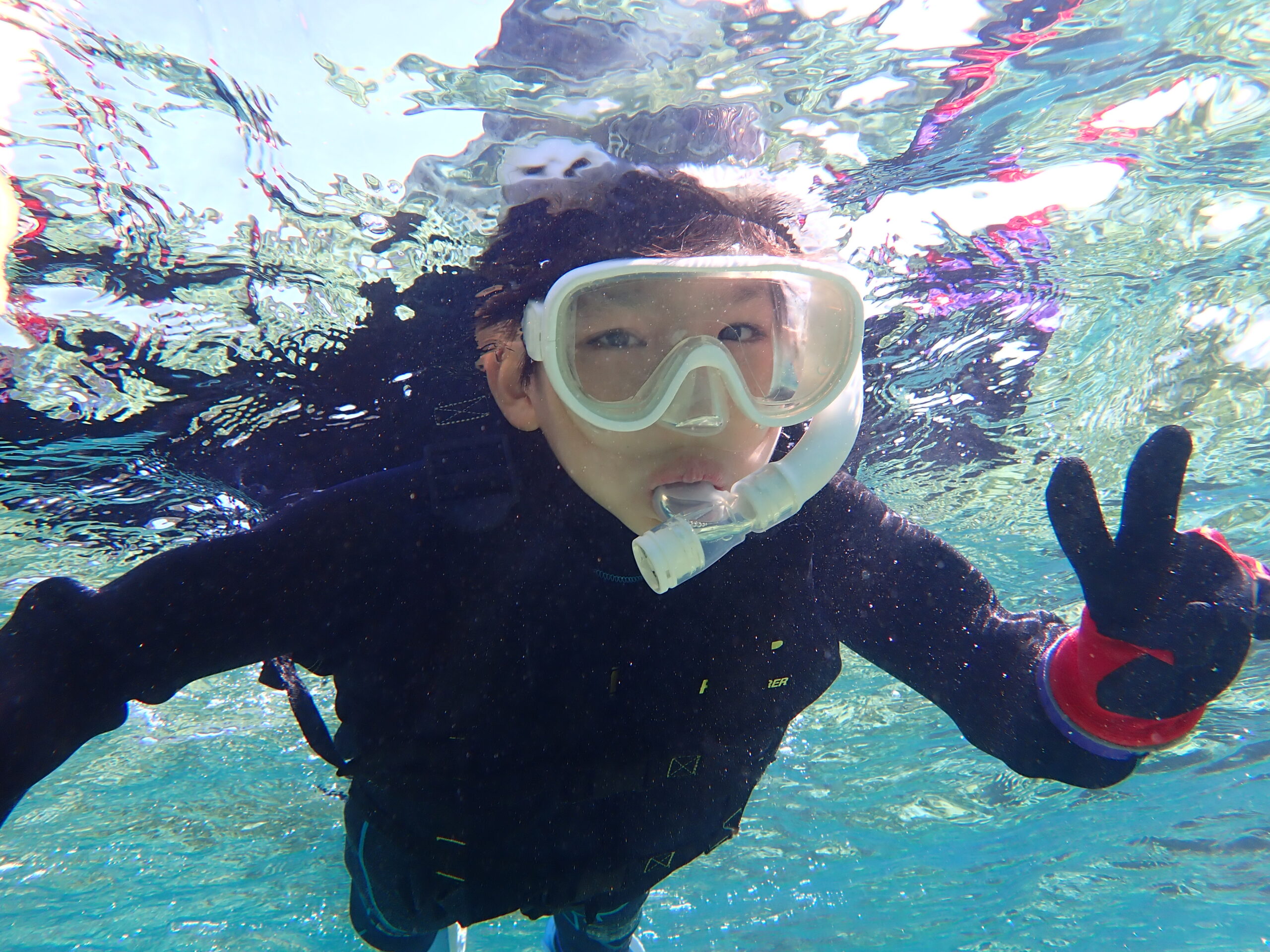 自然体験ジョン万パーク 天然水族感 自然体験シュノーケリング 家族旅行 ウミガメ