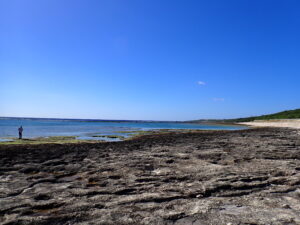 自然体験ジョン万パーク 天然水族感 自然体験シュノーケリング 家族旅行 ウミガメ