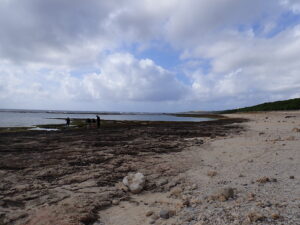 自然体験ジョン万パーク 天然水族感 自然体験シュノーケリング 家族旅行 ウミガメ