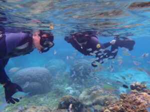 自然体験ジョン万パーク 天然水族感 自然体験シュノーケリング 家族旅行 ウミガメ