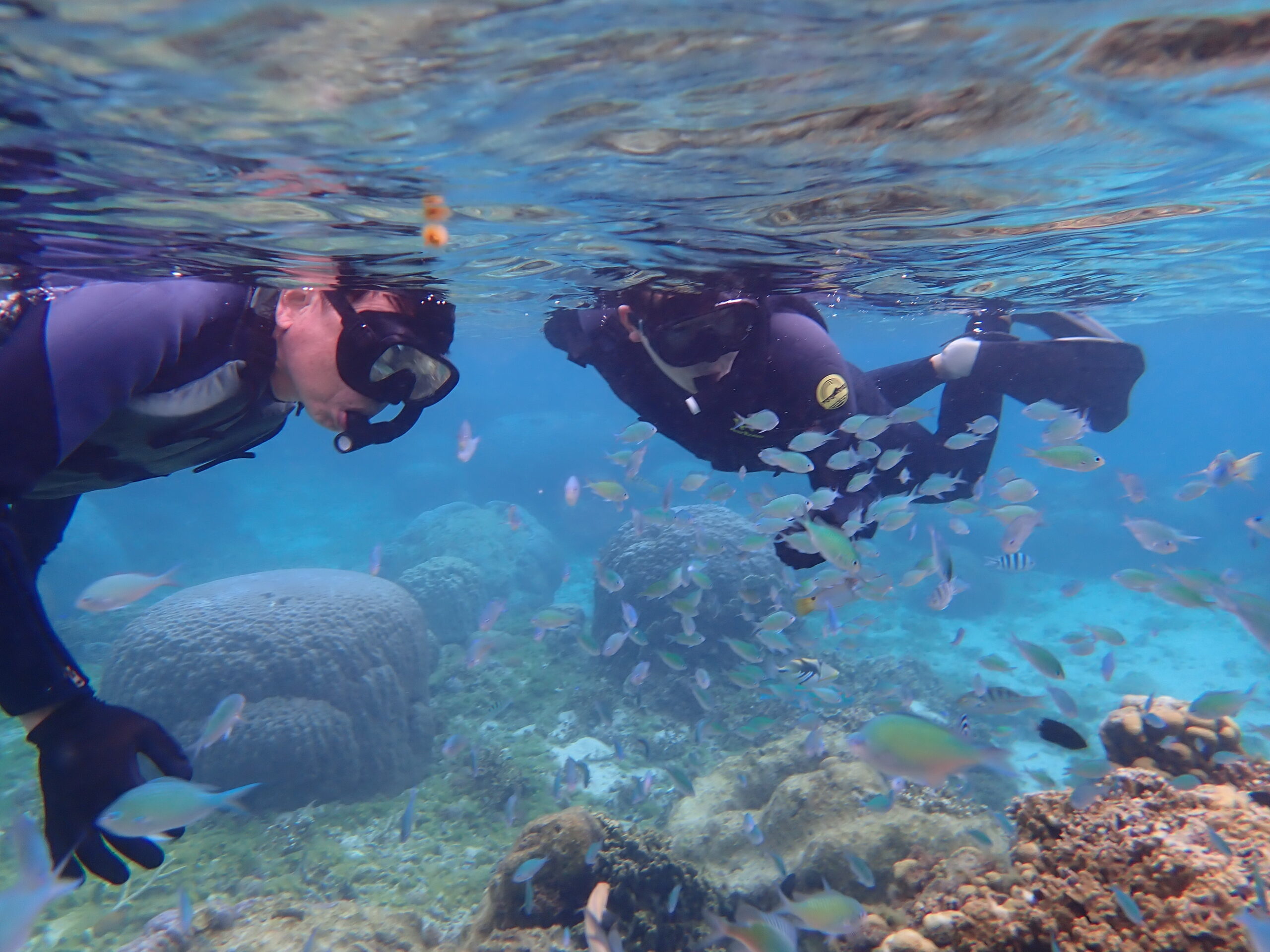 自然体験ジョン万パーク 天然水族感 自然体験シュノーケリング 家族旅行 ウミガメ