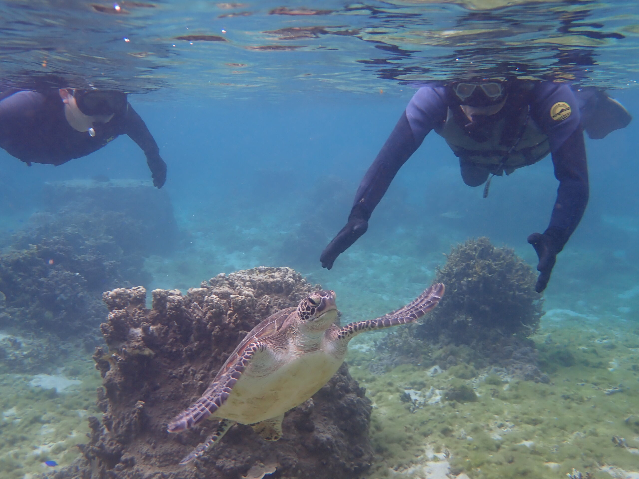 自然体験ジョン万パーク 天然水族感 自然体験シュノーケリング 卒業旅行 学生 春休み