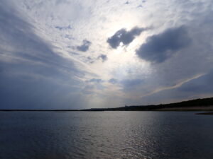 自然体験ジョン万パーク 天然水族感 自然体験シュノーケリング 卒業旅行 ウミガメ