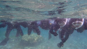 自然体験ジョン万パーク 天然水族感 自然体験シュノーケリング 卒業旅行 ウミガメ 学生 春休み