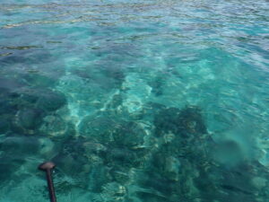 自然体験ジョン万パーク 天然水族感 自然体験シュノーケリング 卒業旅行 SUP 学生 春休み