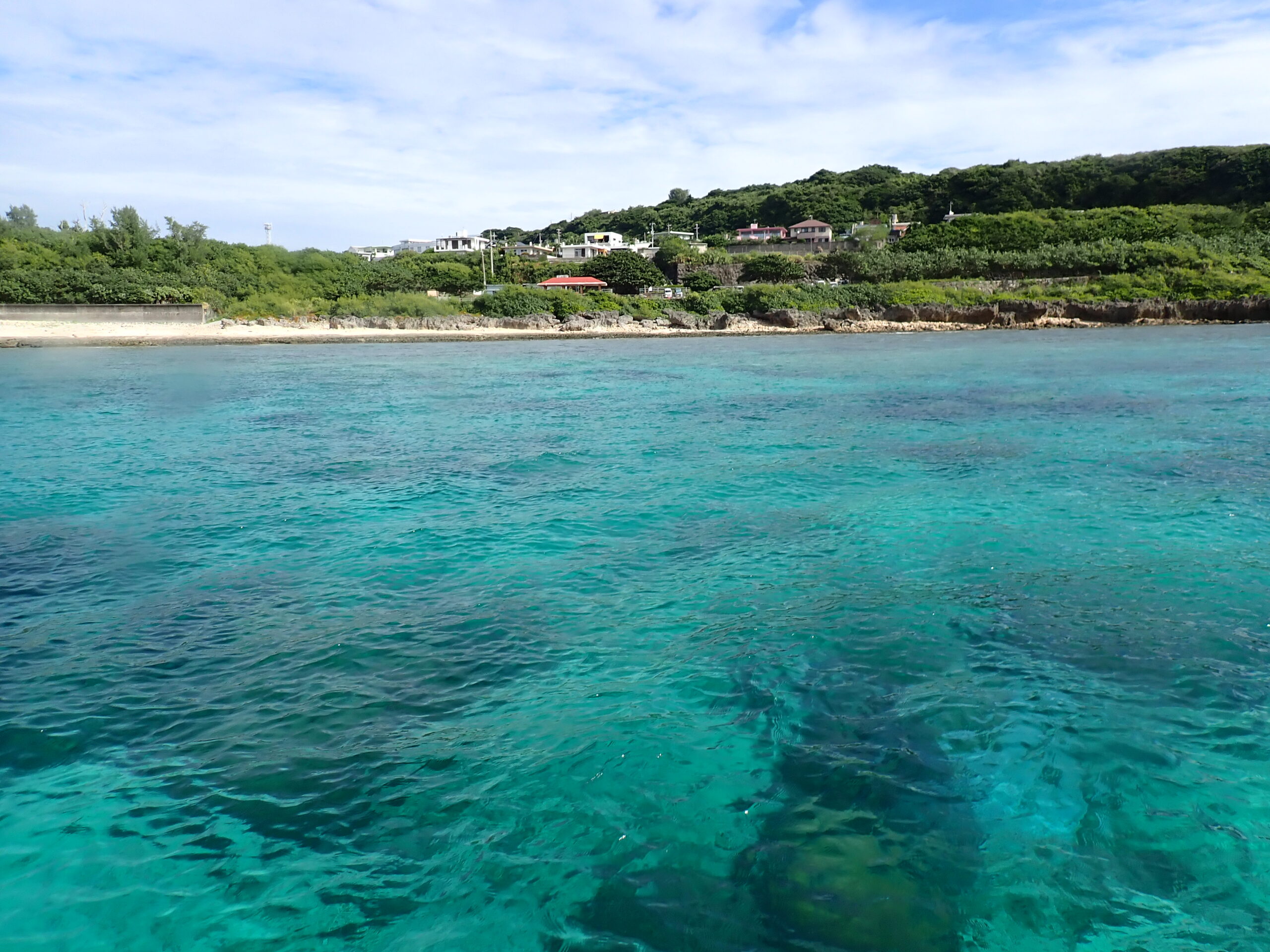 自然体験ジョン万パーク 天然水族感 自然体験シュノーケリング 卒業旅行 SUP 学生 春休み