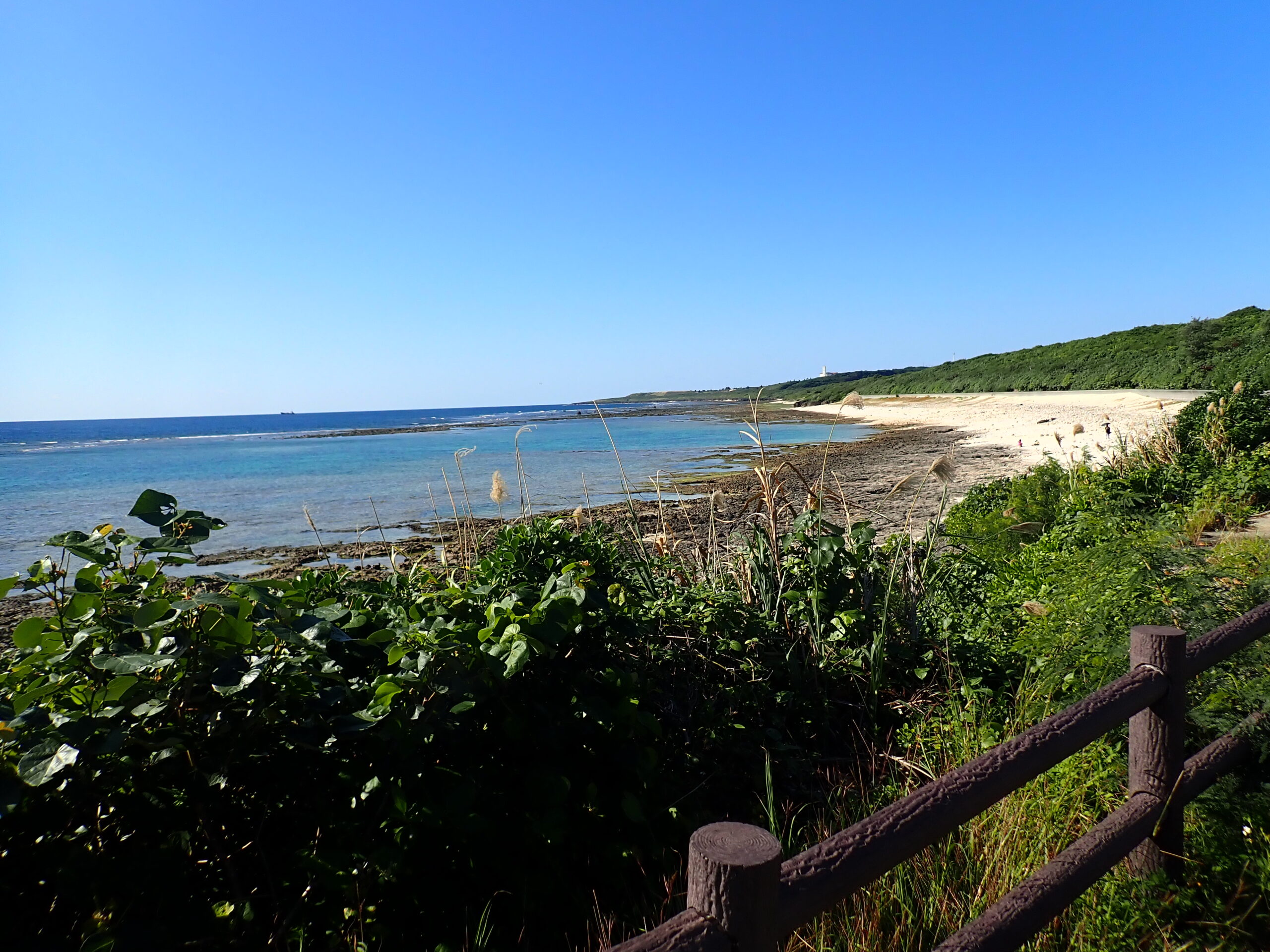 【自然体験ジョン万パーク 天然水族感】ウミガメ 自然体験シュノーケリング 沖縄旅行 家族旅行 初心者