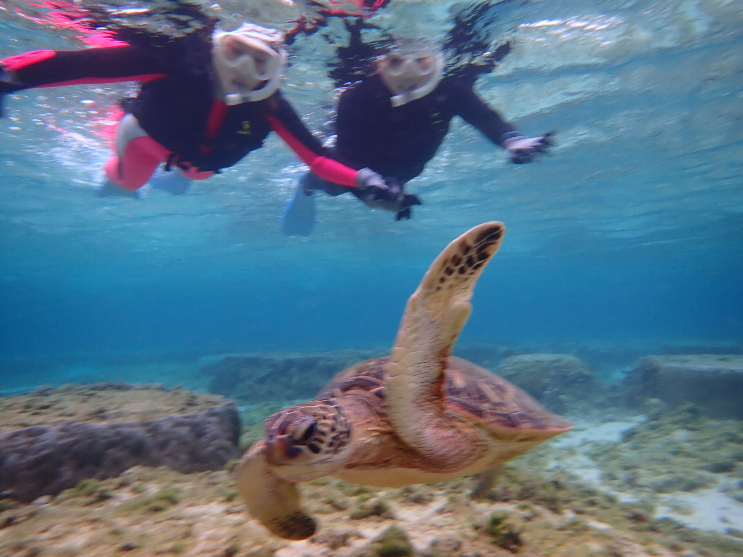 自然体験ジョン万パーク 天然水族感 自然体験シュノーケリング 家族 沖縄旅行 12歳 9歳