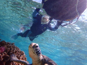自然体験ジョン万パーク 天然水族感 自然体験シュノーケリング 1人旅行 ウミガメ