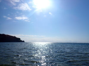 【自然体験ジョン万パーク 天然水族感】ウミガメ 学生 卒業旅行 自然体験シュノーケリング 野球キャンプ