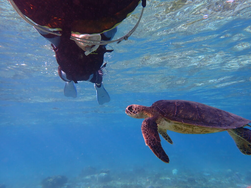 【自然体験ジョン万パーク 天然水族感】2026年2月21日(土)