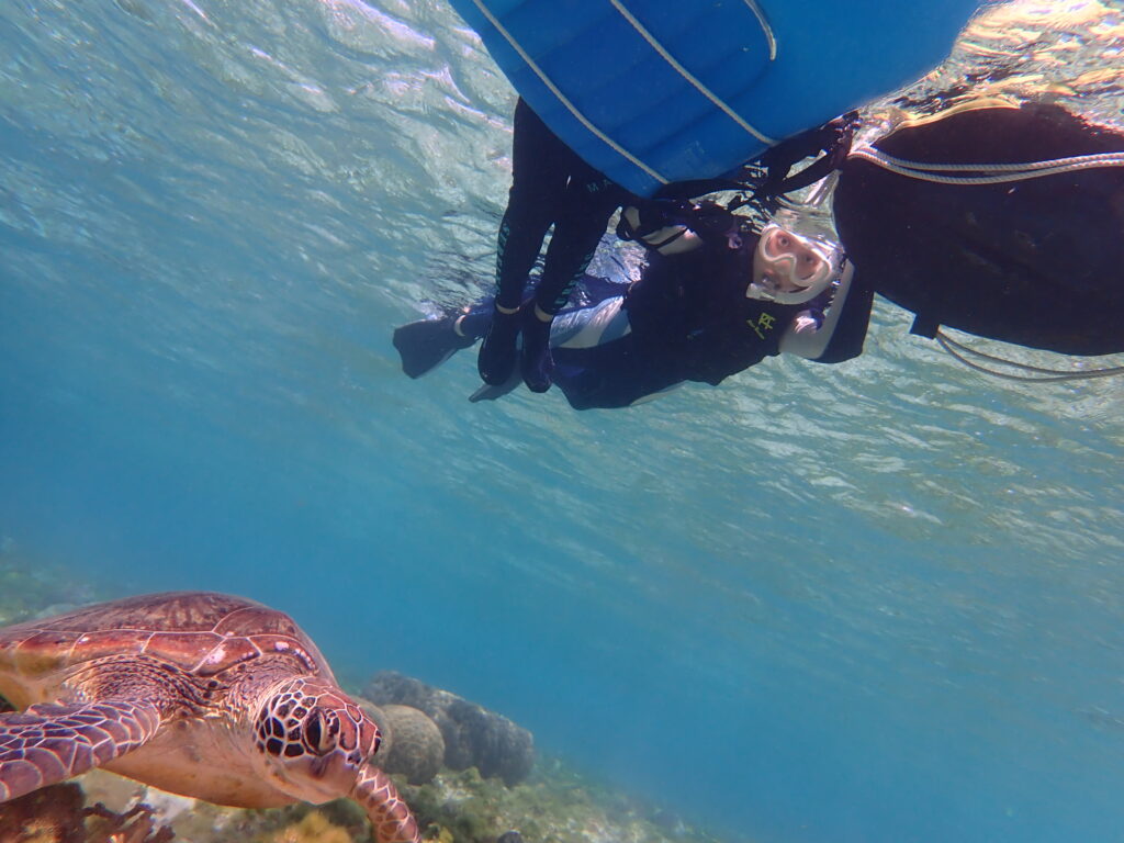 【自然体験ジョン万パーク 天然水族感】ウミガメ 学生 卒業旅行 自然体験シュノーケリング ウミガメ 家族 沖縄旅行