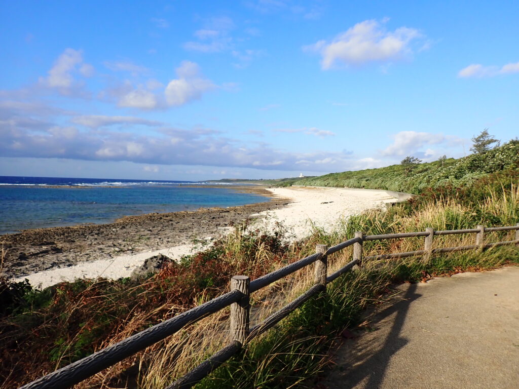 【自然体験ジョン万パーク 天然水族感】ウミガメ 学生 卒業旅行 自然体験シュノーケリング ウミガメ 家族 沖縄旅行